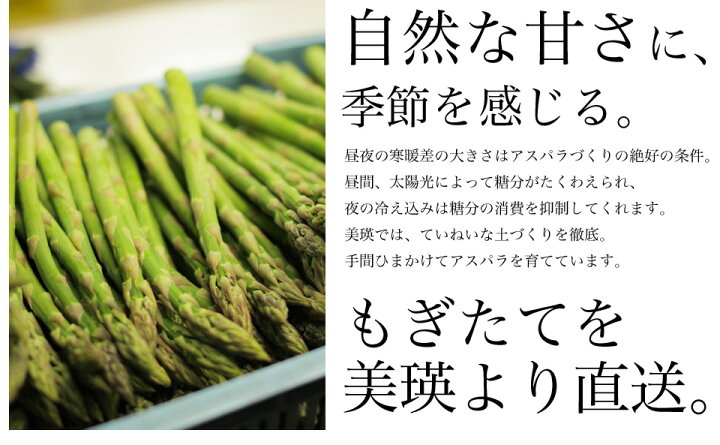 1494円 最愛 アスパラガス グリーンアスパラ ホワイトアスパラ1kg秀品 各500g M〜2Lサイズ×2パック 北海道美瑛産 露地減農薬栽培 送料無料 1494円 最愛 アスパラガス グリーンアスパラ ホワイトアスパラ1kg秀品 各500g M〜2Lサイズ×2パック 北海道美瑛産 露地減農薬栽培 送料無料