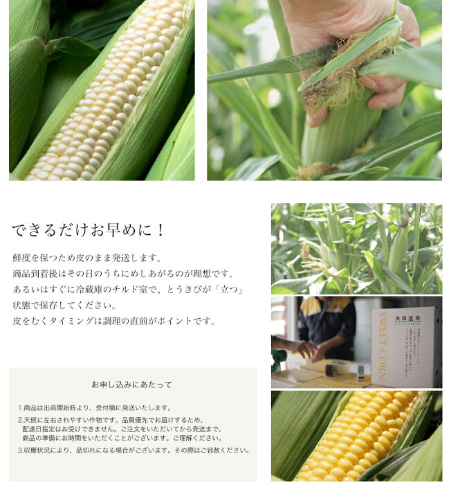 楽天市場】【予約】北海道 JAびえい 美瑛選果 美瑛の白いとうきび 1箱 