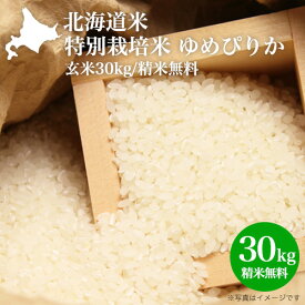 令和5年産｜北海道米 特別栽培米 ゆめぴりか 特A（玄米 30kg/精米無料）北海道米 減農薬 30kg｜2025年産 新米