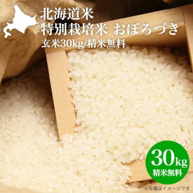 令和5年産｜北海道米 特別栽培米 おぼろづき（玄米30kg/精米無料）北海道米 減農薬｜2023年産 新米