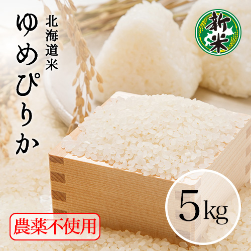 楽天市場】新米 令和5年 米 5kg 送料無料 お米 5kg｜北海道米 玄米 無
