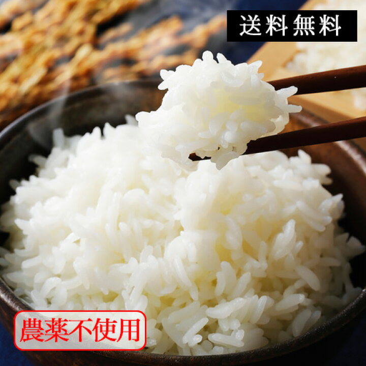 楽天市場】新米 令和6年 米 5kg 送料無料 お米 5kg｜北海道米 玄米 無 