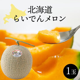 【マラソン期間中ポイント5倍】 お中元 北海道 メロン 北海道らいでんメロン 赤肉 1玉 約1.3kg以上 共撰 優品 以上 フルーツ 果物 高級 美味しい お取り寄せ ギフト 贈答 内祝い 出産内祝い 北海道メロン 共和町 メロンギフト 高級メロン 贈答用メロン メロン1玉