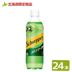 kC VEFbvX\[_ 490mlPET 24{b kC ̔ n yY Schweppes