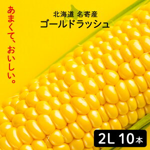 yTVŏЉ܂zkC Y S[hbV 2L 10{ XC[gR[ Ƃ낱 S[hbVMtg kCY Ȃ CG[R[   Â i 