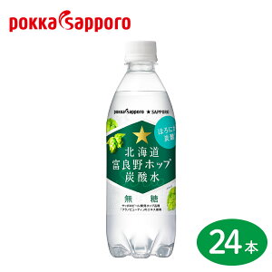 |bJTb| kCxǖzbvY_(500ml/PET{g) 24{bkC ӂ zbv Y_ Xp[NO