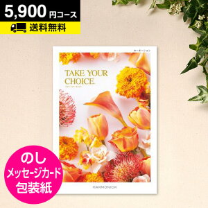 J^OMtg eCNA`CX J[l[V 5900~R[XbCATALOG GIFT o oYj TԂ Cj j j MtgJ^O O ̌  H