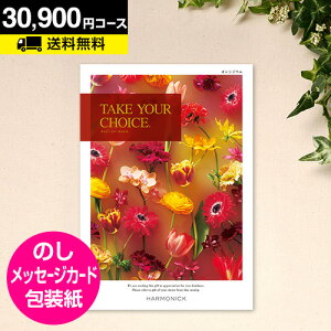 _{|Cg10{^J^OMtg eCNA`CX IVWE 30800~R[XbCATALOG GIFT o oYj TԂ Cj j j MtgJ^O O ii
