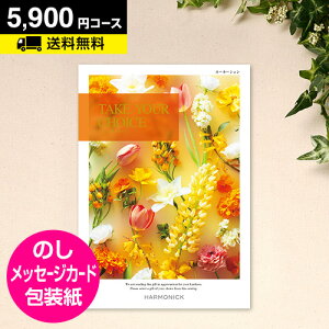 J^OMtg eCNA`CX J[l[V 5900~R[XbCATALOG GIFT o oYj TԂ Cj j j MtgJ^O O ̌  H