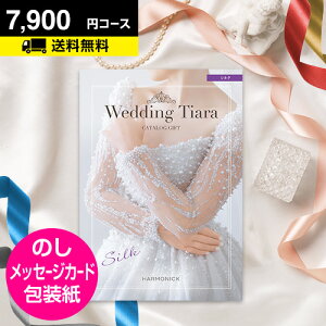 uC_p J^OMtg eBA VN 7900~R[Xbjp o J^OMtg j MtgJ^O EFfBO  j CATALOG GIFT Ԃ