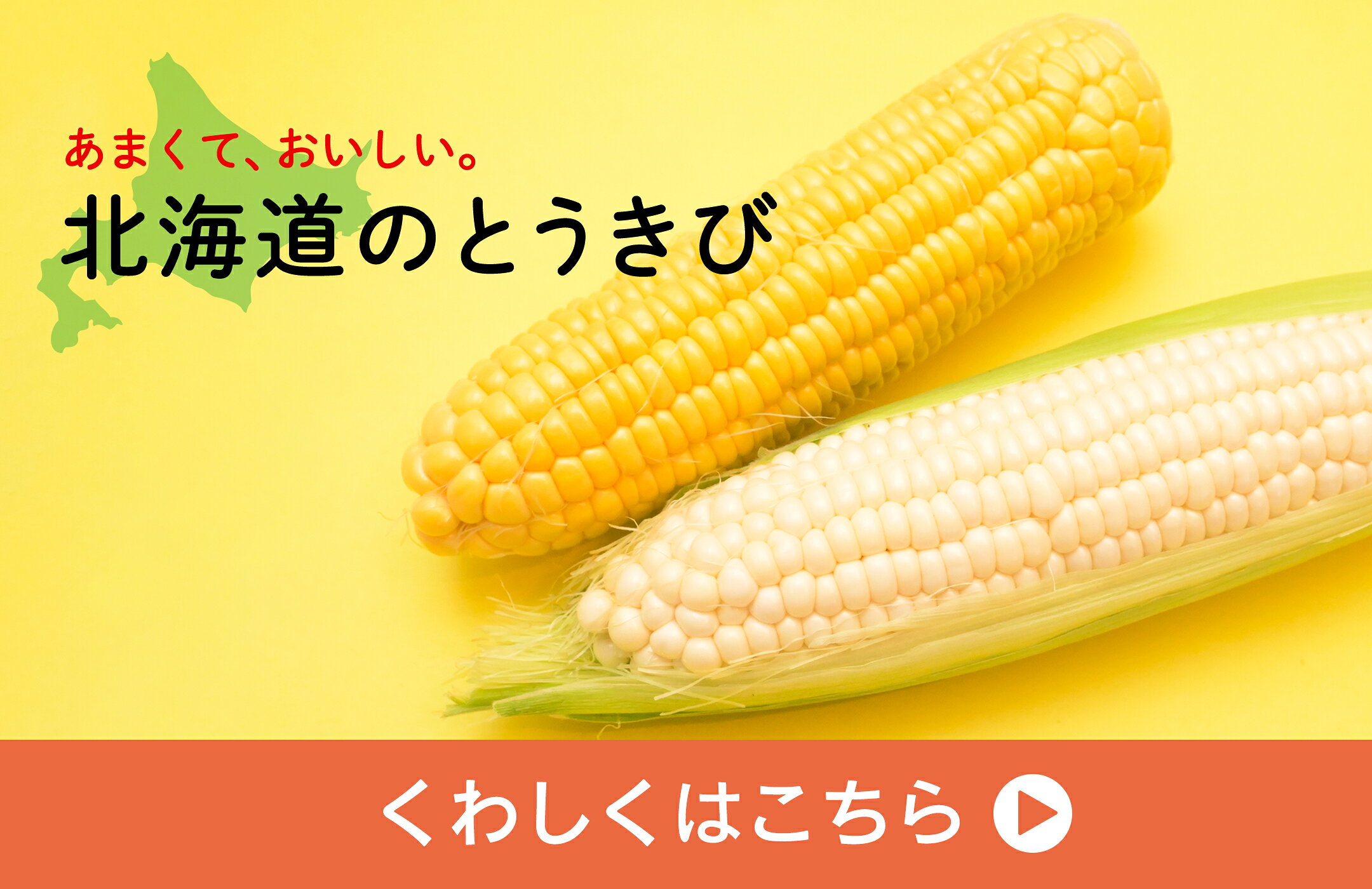 いよいよ北海道のとうきびが登場