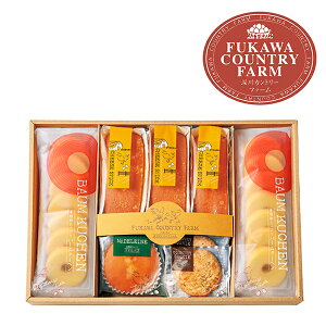 j XC[c Mtgb[Jg[t@[@LgXC[cZbg@C(FFC-03A)bs Ε ~Mtg