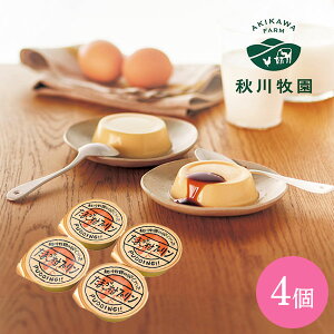 j XC[c MtgbHq@Hq̗ł܂v@4(AKB-001)bs Ε ~Mtg