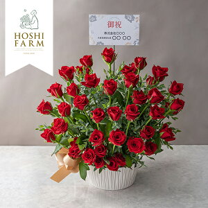 ���j �X�C�[�c �M�t�g�b�z�V�t�@�[���@�K�N�̌�j�A�����W�����g�@���[�W��(FMV-01C)�b����s�� ���J���M�t�g