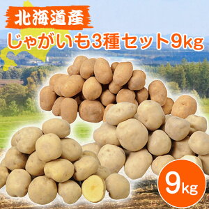 kC ObkCY Ⴊ3Zbg 9kgj݁EL^AJECĴ߂ e3kgbsbzBwsbkC |eg WKC Mtg ؃Zbgb10{