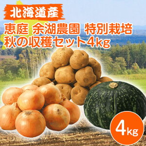kC O kCY b ]Δ_ ʍ͔| H̎nZbg 4kg Ⴊ L^AJ 1.5kg ʂ˂ 1.5kg ڂ (1.2kgȏ) 1 kC Mtg kC؃Zbg ؋lߍ킹 Zbg 