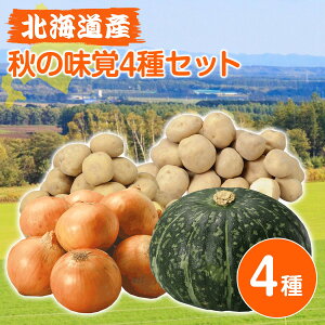 kC ObkCY H̖o4ZbgႪ([NC/j) e3kgAʂ˂ 3kgAڂ 1bsbzBwsbkC  Mtg ؃Zbgb10{