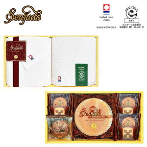 j j 蕨b XC[c&^IZbg (SS-40TR)bbj Ԃ  j oYj