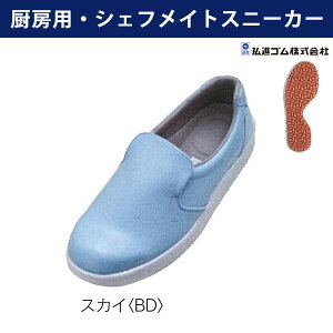 VFtCg-100 XJC/~[pEVFtCgXj[J[/CyOiSz