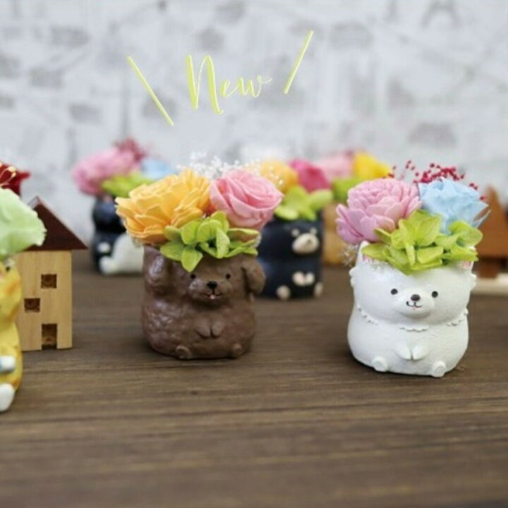 楽天市場】フラワー わんこ&にゃんこ フラワーアレンジ プリザーブド 