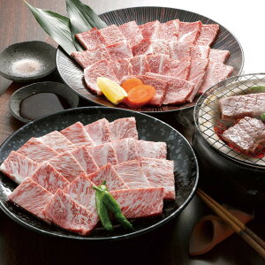 {苍 5 ē {苍 uh  Y јa a  5 ē [X  BBQ ē Ⓚ O Mtg 蕨  Ε  lC  LO 