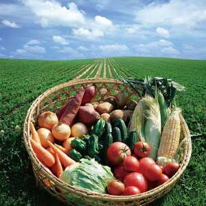 tY {̍̂肽ĐVN؃Zbg VN  {̍̂肽 { {̖ Zbg oGeB[ VN ₳ ݂݂ Ė G߂̖ t O Mtg  lߍ