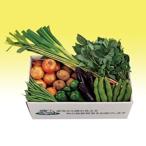 tY {̍̂肽ĐVN؃Zbg VN  {̍̂肽 { {̖ Zbg oGeB[ VN ₳ ݂݂ Ė G߂̖ t O Mtg  lߍ