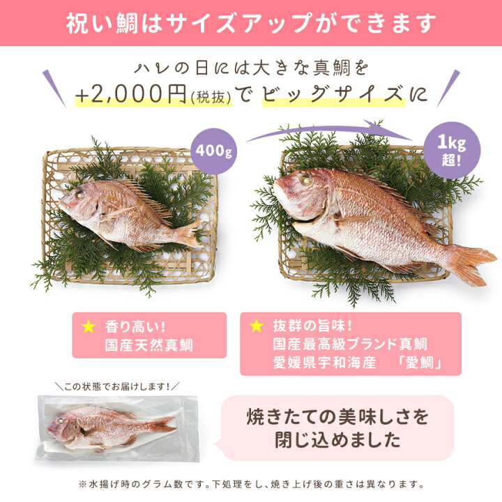 楽天市場 お食い初め セット 花むすび えん お食い初め膳 もえみずきプティ 食器セット これ1つで簡単本格お食い初め 国産天然真鯛 歯固め石 手引書 鯛めしレシピ付 蛤吸 赤飯 祝箸 追加購入可 パーティー 出産祝い お正月 ギフト 宅配 お祝い膳 楽天市場店