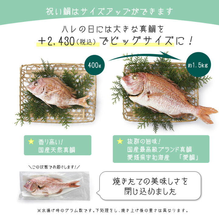 楽天市場 お食い初め 料理 食器セット これ1つで簡単本格お食い初め フレンチの鉄人 坂井宏行監修 お食い初め膳 祝い鯛姿焼きコース 歯固め石 お食い初め手引書 鯛めしレシピ付 人数分の蛤吸 赤飯 祝箸を追加購入可能 食器セット付 お祝い膳 楽天市場店 楽天市場 お食い初め 料理 食器セット これ1つで簡単本格お食い初め フレンチの鉄人 坂井宏行監修 お食い初め膳 祝い鯛姿焼きコース 歯固め石 お食い初め手引書 鯛めしレシピ付 人数分の蛤吸 赤飯 祝箸を追加購入可能 食器セット付 お祝い膳 楽天市場店