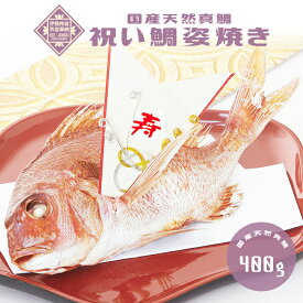 お食い初め 鯛【祝い鯛姿焼き（400g）】国産天然真鯛　初節句 雛祭り 贈り物 尾頭付き 姿焼き 塩焼き 鯛めしレシピ付