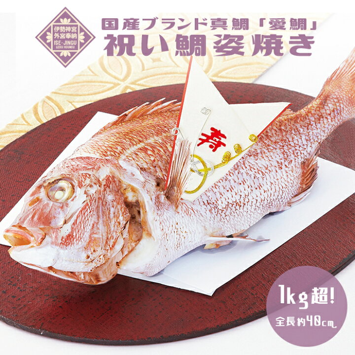 楽天市場 お食い初め 鯛 伊勢神宮外宮奉納 祝い鯛姿焼き 1kg 国産最高級ブランド真鯛 初節句 ひな祭り 贈り物 尾頭付き 姿焼き 塩焼き 鯛めしレシピ付 お祝い膳 楽天市場店