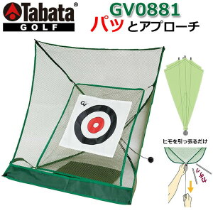 y񂹏izTabata(^o^) pbƃAv[` [GV0881] p Av[`plbg Av[`K StK g[jO