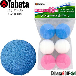 y񂹏izy^o^z ~{[ GV-0304 ő򋗗F10m Av[`B{[ ŖԁEKɍœK K/Kp{[ yTabataz