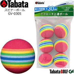 y񂹏izy^o^z Xsi[{[ GV-0305 ő򋗗F30m Av[`B{[ XsOڗđR VbgK/Kp{[ yTabataz