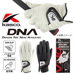 LXR fB[EGkEG[ XgO Y St O[u Kasco DNA STRONG MEN'S GOLF GLOVE/ p SFST-2312 zCg ubN 21`26cm [2023Nf] [lR|XΉ]