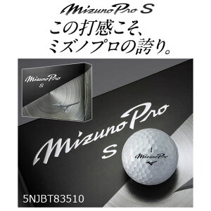 ~Ym St{[ ~Ymv S 5NJBT83510 1_[X(12) Mizuno Pro S