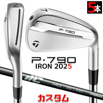 楽天市場】p790 2021 mciの通販