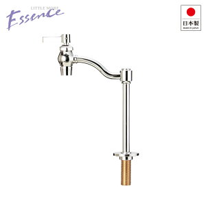 g fUC ֌ Essence NEW  jbP  P gC  ii E382010j