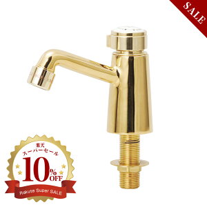 yEssencez P nNiuXj CuLNtĝ֌ S[hF