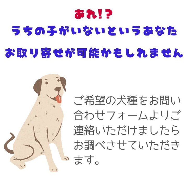 楽天市場 猛犬注意の看板 ラージサイズ サインボード ビンテージ風 パグ ビーグル プードル ブルドッグ フレンチブルドッグ ボーダーコリー ボクサー ボストンテリア ポメラニアン ラブラドールレトリバー キャバリア オジコペット