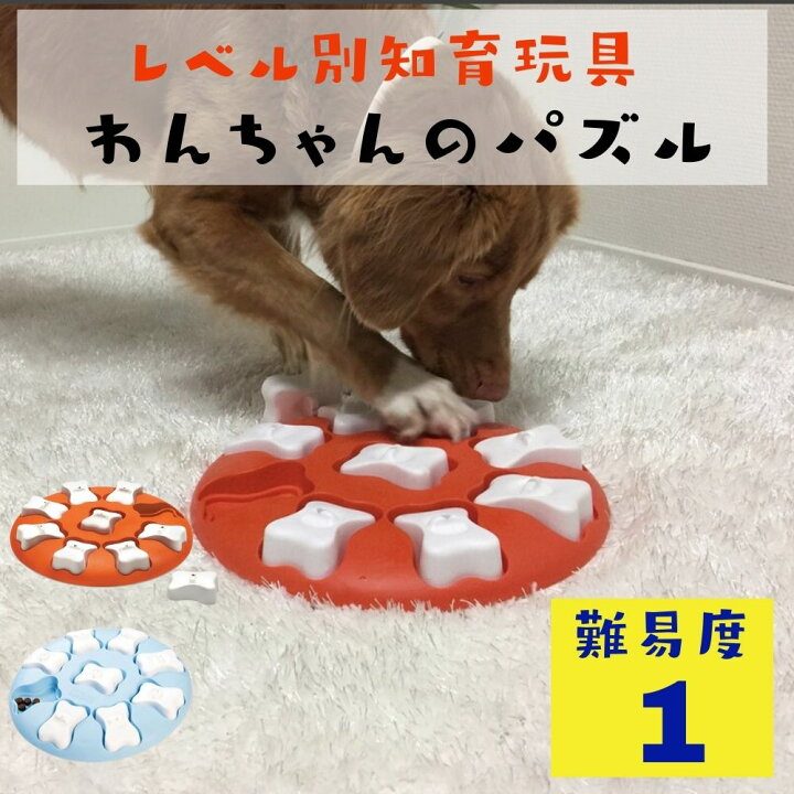 楽天市場】[クリアランス] 犬用 知育玩具 パズル [難易度1] Nina 