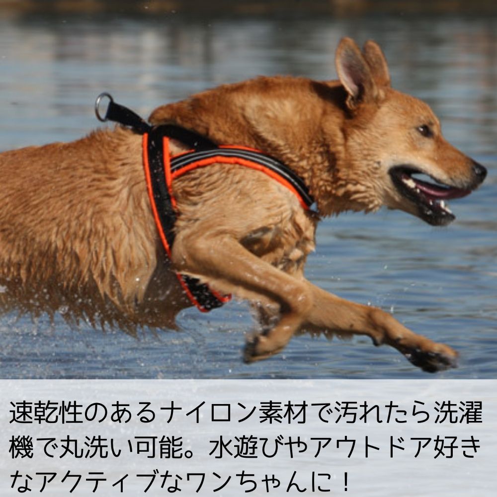 楽天市場】犬用 ハーネス Comfortflex コンフォートフレックス (L XL