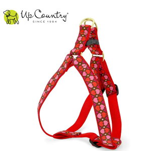 p n[lX ɂȂ ^b`obN AbvJg[ [I[n[c]   Up Country fUCLx^p ^p ^p