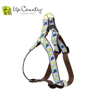 p n[lX ɂȂ ^b`obN AbvJg[ [A{Jh]   Up Country fUCLx^p ^p ^p