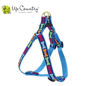 p n[lX ɂȂ ^b`obN AbvJg[ [rbO{[]   Up Country fUCLx^p ^p ^p