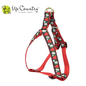 p n[lX ɂȂ ^b`obN AbvJg[ [n[gt[]   Up Country fUCLx^p ^p ^p