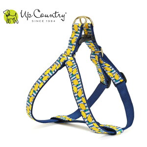 p n[lX ɂȂ ^b`obN AbvJg[ [CNl[h]   Up Country fUCLx^p ^p ^p