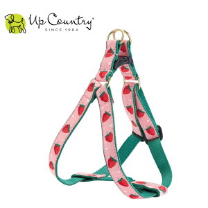 p n[lX ɂȂ ^b`obN AbvJg[ [Xgx[]   Up Country fUCLx^p ^p ^p