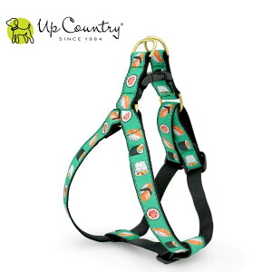 p n[lX ɂȂ ^b`obN AbvJg[ [i]   Up Country fUCLx^p ^p ^p