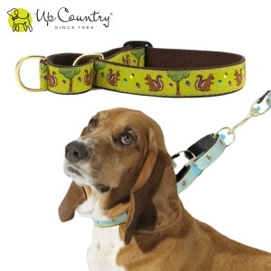 p  n[t`[N [XƂǂ񂮂] Ȃ ɂ  h~ g[jO h~ 蔲h~   ^ ^ ^ Up Country AbvJg